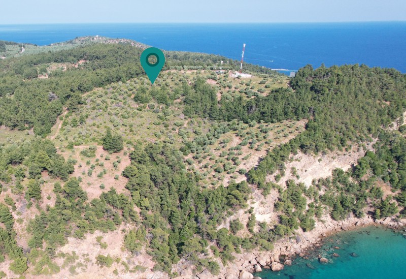 Αγροτεμάχια 5.031 τ.μ. προς πώληση, Αστρίδα