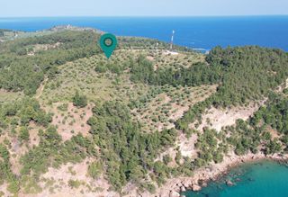 Αγροτεμάχια 5.031 τ.μ. για πώληση
