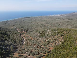 Αγροτεμάχια 2.255 τ.μ. για πώληση