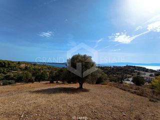 Αγροτεμάχια 8.000 τ.μ. για πώληση