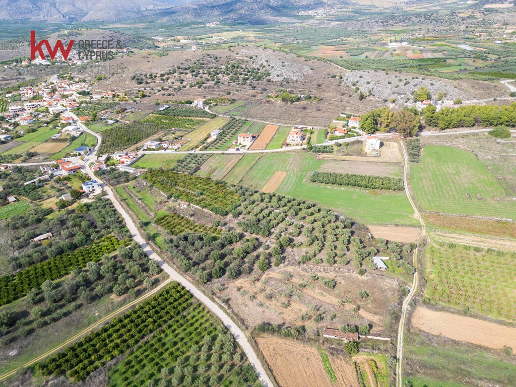 Αγροτεμάχια 6.225,38 τ.μ. προς πώληση, Δενδρά Μιδέας