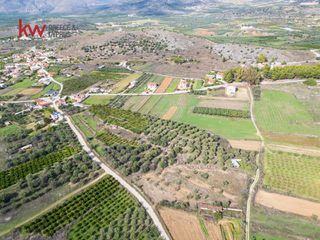 Αγροτεμάχια 6.225,38 τ.μ. προς πώληση, Δενδρά Μιδέας-thumb-1