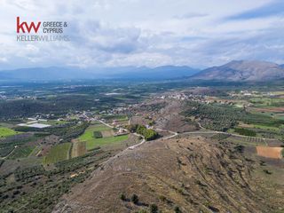 Αγροτεμάχια 6.225,38 τ.μ. προς πώληση, Δενδρά Μιδέας-thumb-21