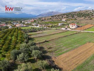 Αγροτεμάχια 6.225,38 τ.μ. προς πώληση, Δενδρά Μιδέας-thumb-15