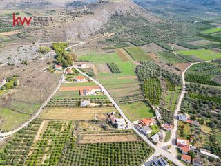 Αγροτεμάχια 6.225,38 τ.μ. προς πώληση, Δενδρά Μιδέας-thumb-6