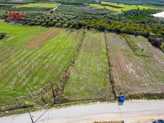 Αγροτεμάχια 6.225,38 τ.μ. προς πώληση, Δενδρά Μιδέας-thumb-7