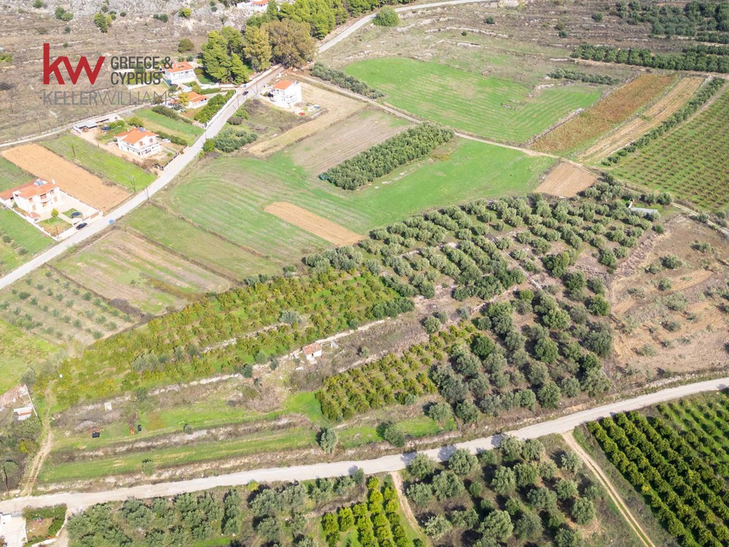 Αγροτεμάχια 6.225,38 τ.μ. προς πώληση, Δενδρά Μιδέας