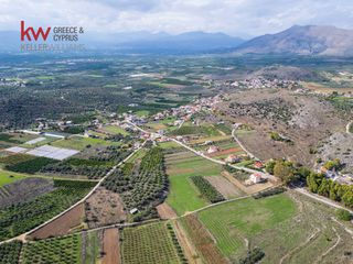 Αγροτεμάχια 6.225,38 τ.μ. προς πώληση, Δενδρά Μιδέας-thumb-22