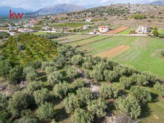 Αγροτεμάχια 6.225,38 τ.μ. προς πώληση, Δενδρά Μιδέας-thumb-14