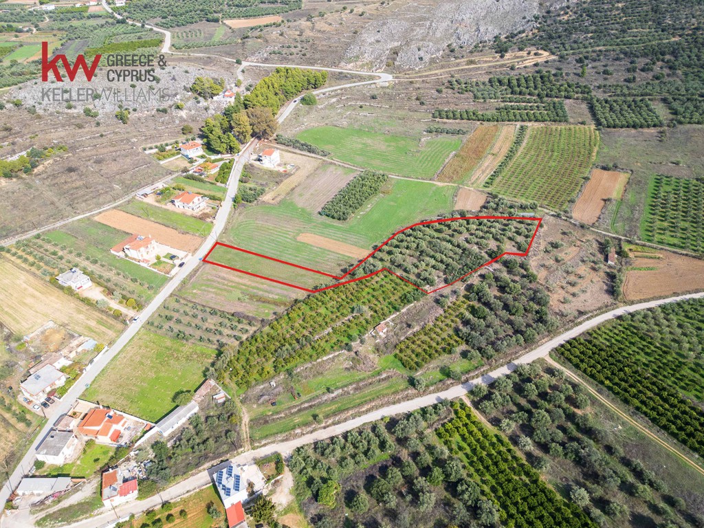 Αγροτεμάχια 6.225,38 τ.μ. για πώληση, Αργολίδα, Μιδέα