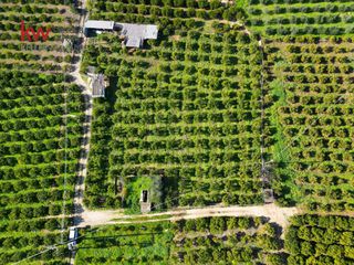 Οικόπεδο 2.600 τ.μ. για πώληση, Αργολίδα, Ασίνη-thumb-3