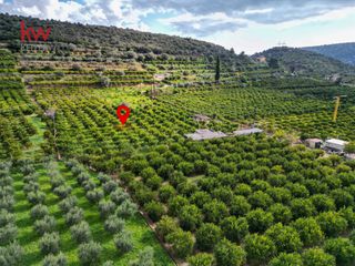 Οικόπεδο 2.600 τ.μ. για πώληση, Αργολίδα, Ασίνη-thumb-13