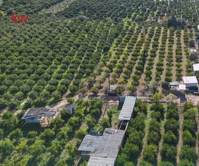 Οικόπεδο 2.600 τ.μ. για πώληση, Αργολίδα, Ασίνη-thumb-24