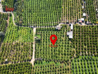 Οικόπεδο 2.600 τ.μ. για πώληση, Αργολίδα, Ασίνη-thumb-2