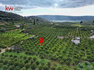 Οικόπεδο 2.600 τ.μ. για πώληση, Αργολίδα, Ασίνη-thumb-16
