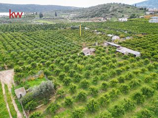 Οικόπεδο 2.600 τ.μ. για πώληση, Αργολίδα, Ασίνη-thumb-8