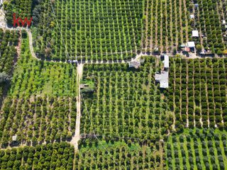 Οικόπεδο 2.600 τ.μ. για πώληση, Αργολίδα, Ασίνη-thumb-12
