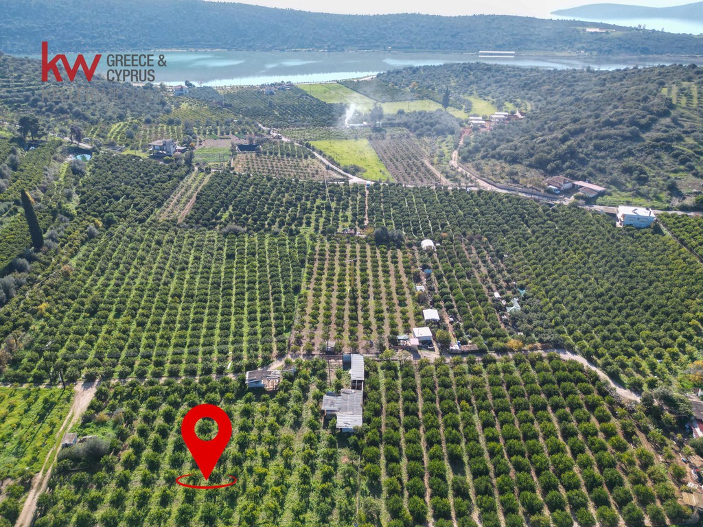 Οικόπεδο 2.600 τ.μ. για πώληση, Αργολίδα, Ασίνη