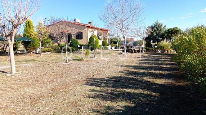Μονοκατοικία 70 τ.μ. πρός πώληση, Εβρος, Αλεξανδρούπολη