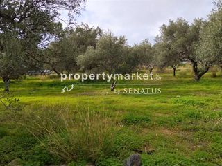 Οικόπεδο 2.500 τ.μ. για πώληση