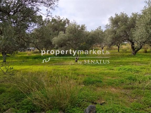 Οικόπεδο 2.500 τ.μ. για πώληση, Ν. Λασιθίου, Ιεράπετρα