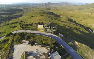 Αγροτεμάχια 37.000 τ.μ. για πώληση