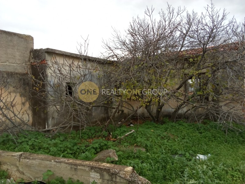 Αποθήκη 2.000 τ.μ. προς πώληση, Κέντρο Κορωπίου