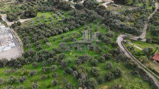 Οικόπεδο 4.770 τ.μ. για πώληση