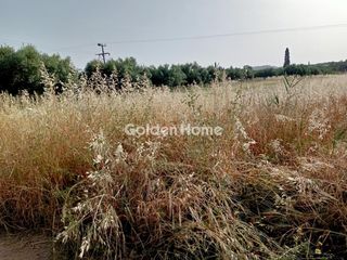 Αγροτεμάχια 1.139 τ.μ. για πώληση