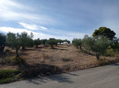 Οικόπεδο 1.275 τ.μ. προς πώληση