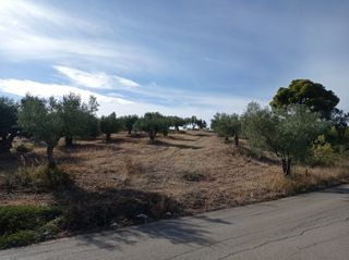 Οικόπεδο 1.275 τ.μ. για πώληση
