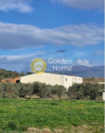 Industrial space 600 sqm for sale, Magnesia, Aisonia