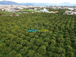 Οικόπεδο 2.002,57 τ.μ. προς πώληση, Κέντρο Άργους-thumb-14