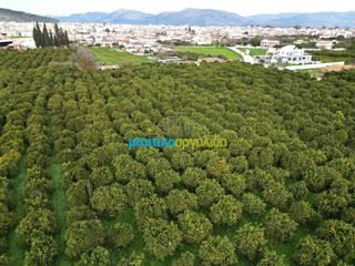Οικόπεδο 2.002,57 τ.μ. προς πώληση, Κέντρο Άργους-thumb-16