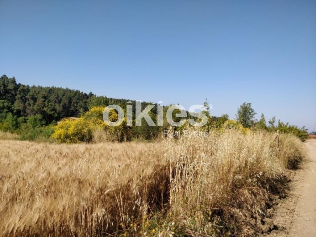 Αγροτεμάχια 4.122 τ.μ. προς πώληση, Σανή