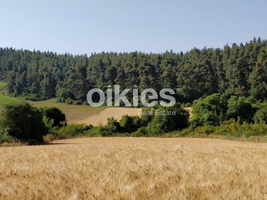 Αγροτεμάχια 4.122 τ.μ. προς πώληση, Σανή