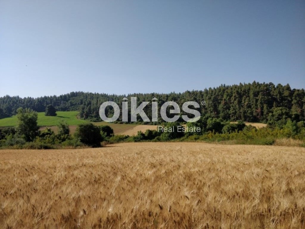 Αγροτεμάχια 4.122 τ.μ. προς πώληση, Σανή