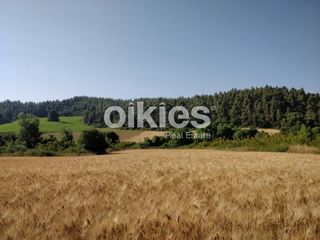 Αγροτεμάχια 4.122 τ.μ. για πώληση