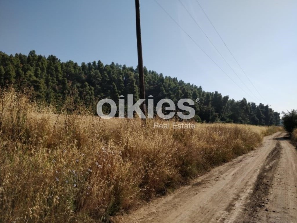 Αγροτεμάχια 4.122 τ.μ. προς πώληση, Σανή