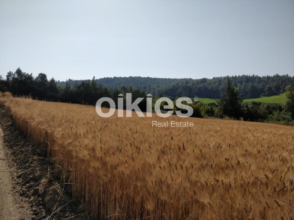 Αγροτεμάχια 4.122 τ.μ. προς πώληση, Σανή