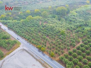 Οικόπεδο 25.000 τ.μ. πρός πώληση, Λακωνία, Φαρίδα-thumb-9