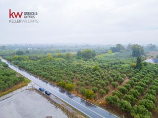 Οικόπεδο 25.000 τ.μ. πρός πώληση, Λακωνία, Φαρίδα-thumb-4