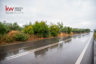 Οικόπεδο 25.000 τ.μ. πρός πώληση, Λακωνία, Φαρίδα-thumb-19