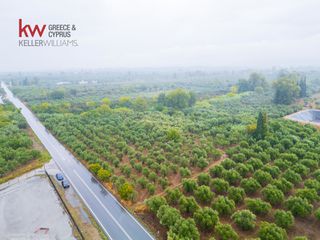 Οικόπεδο 25.000 τ.μ. πρός πώληση, Λακωνία, Φαρίδα-thumb-5