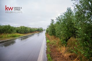 Οικόπεδο 25.000 τ.μ. πρός πώληση, Λακωνία, Φαρίδα-thumb-16