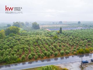 Οικόπεδο 25.000 τ.μ. για πώληση
