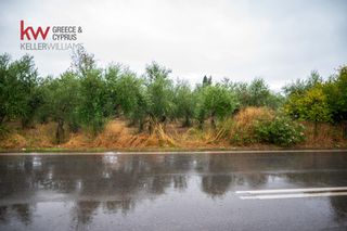 Οικόπεδο 25.000 τ.μ. πρός πώληση, Λακωνία, Φαρίδα-thumb-20
