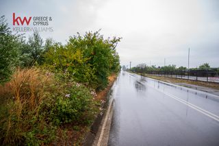 Οικόπεδο 25.000 τ.μ. πρός πώληση, Λακωνία, Φαρίδα-thumb-17
