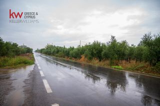 Οικόπεδο 25.000 τ.μ. πρός πώληση, Λακωνία, Φαρίδα-thumb-18