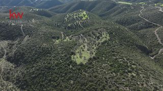 Αγροτεμάχια 243.000 τ.μ. για πώληση
